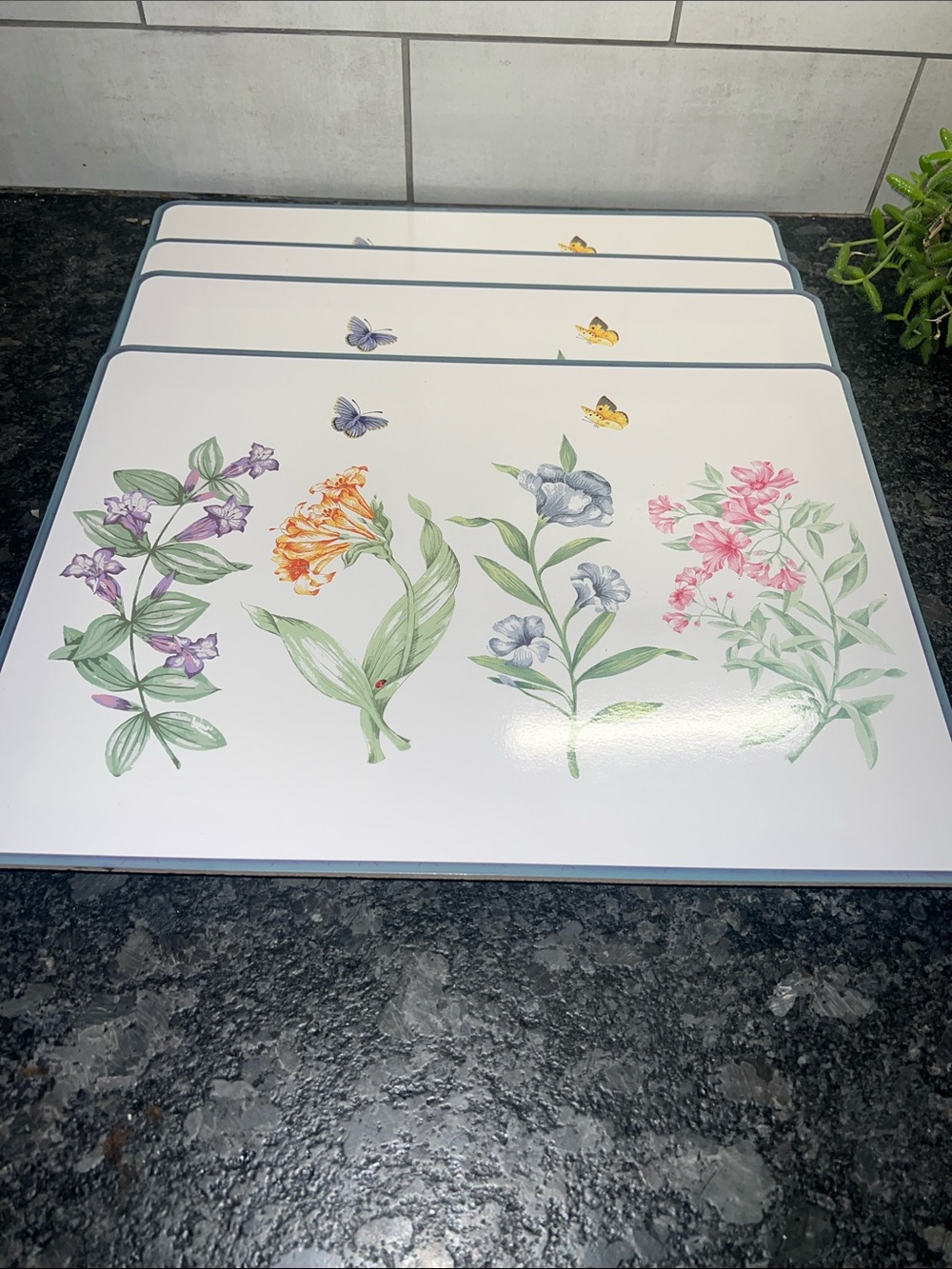 15.5x11.5” Lenox Botanical Placemat Set - Butterfly Meadow Garden placemats